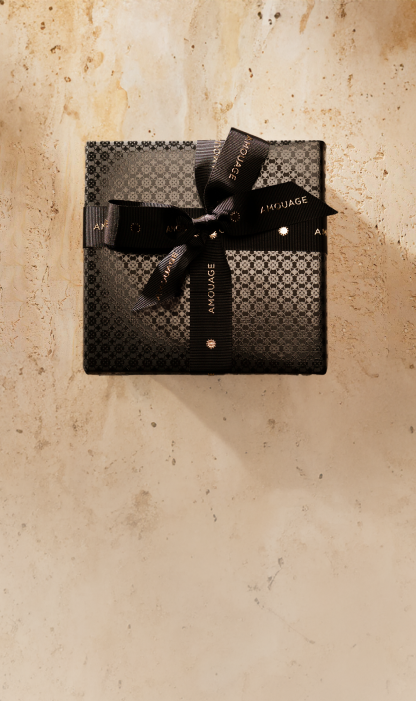 THE PERFECT GIFT