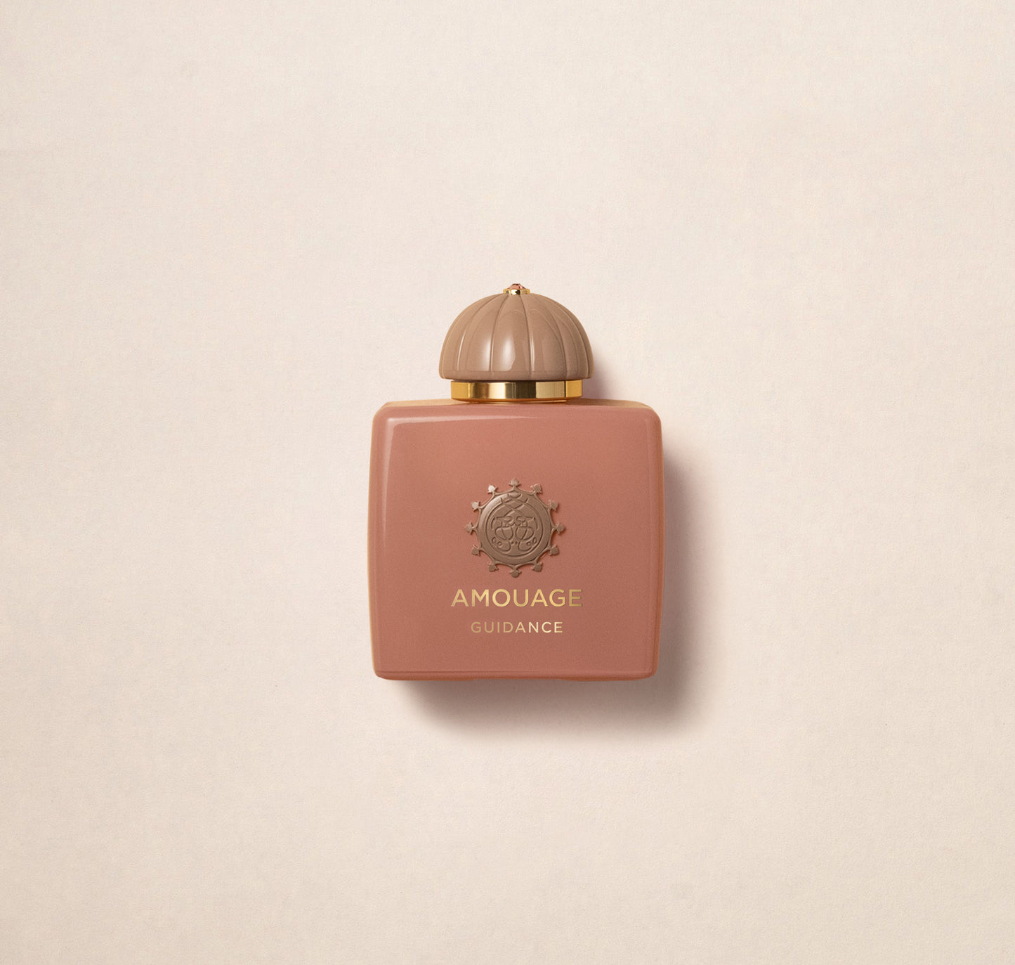 Guidance 50ml